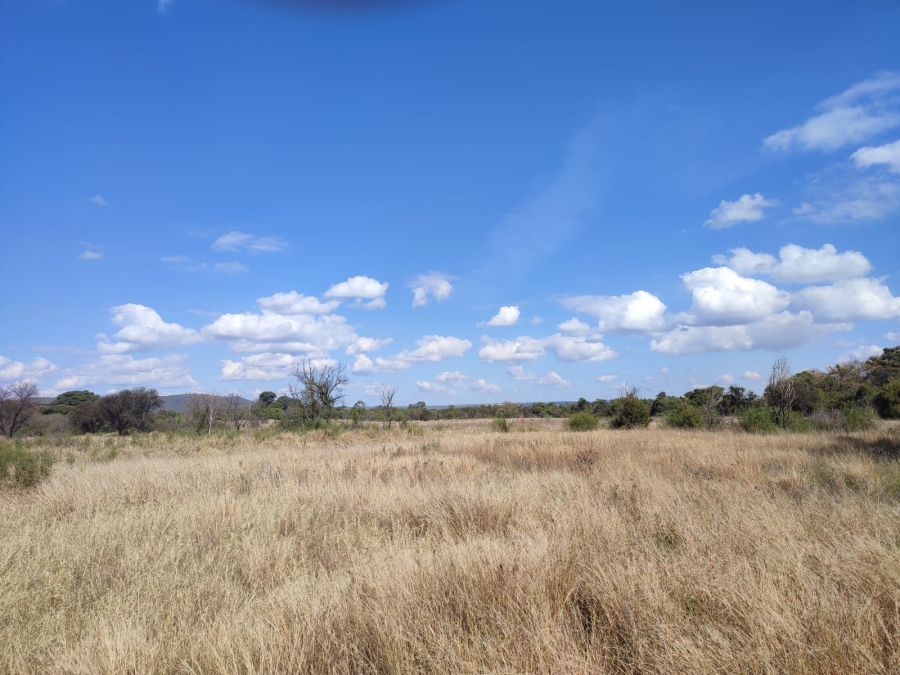 0 Bedroom Property for Sale in Zeerust North West